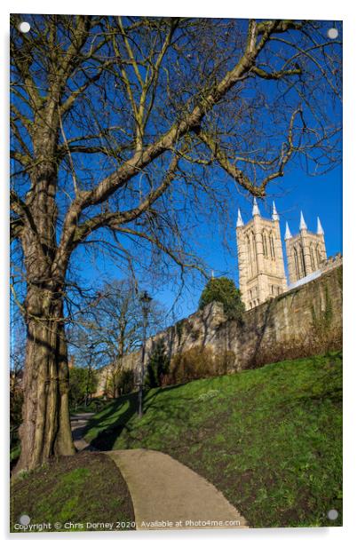 Lincoln Cathedral viewed from the Bishops Palace Acrylic by Chris Dorney