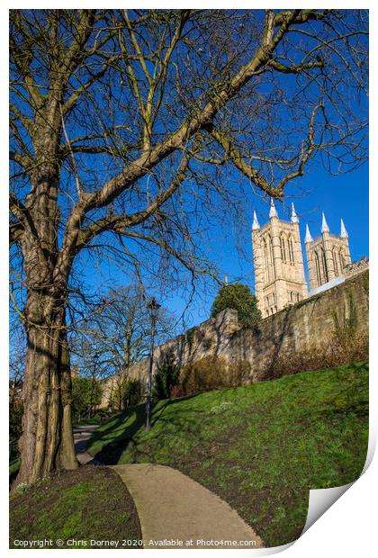 Lincoln Cathedral viewed from the Bishops Palace Print by Chris Dorney