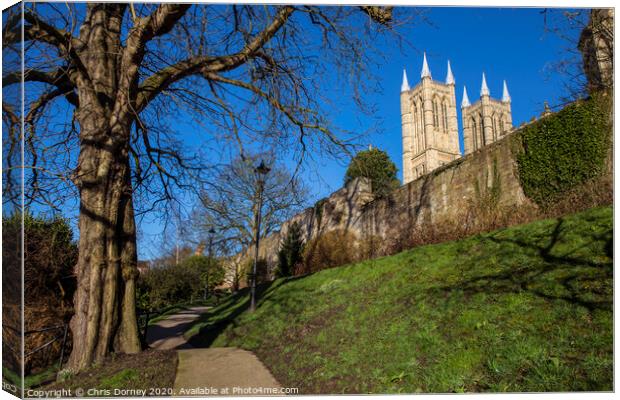 Lincoln Cathedral viewed from the Bishops Palace Canvas Print by Chris Dorney