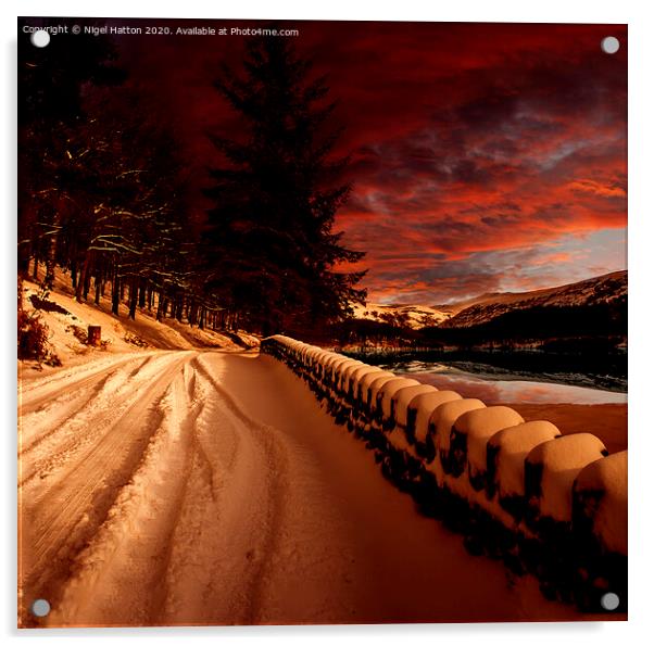 Snow Tracks Acrylic by Nigel Hatton