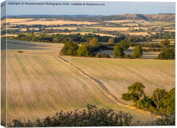 View from Ivinghoe towards Whipsnade. Canvas Print by Elizabeth Debenham