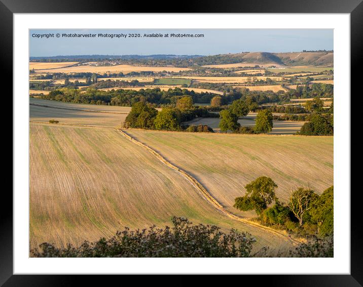 View from Ivinghoe towards Whipsnade. Framed Mounted Print by Elizabeth Debenham
