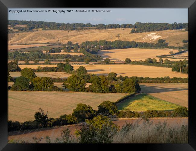 Ivinghoe view towards The Lion at Whipsnade in the Framed Print by Elizabeth Debenham