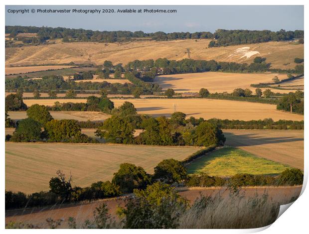 Ivinghoe view towards The Lion at Whipsnade in the Print by Elizabeth Debenham