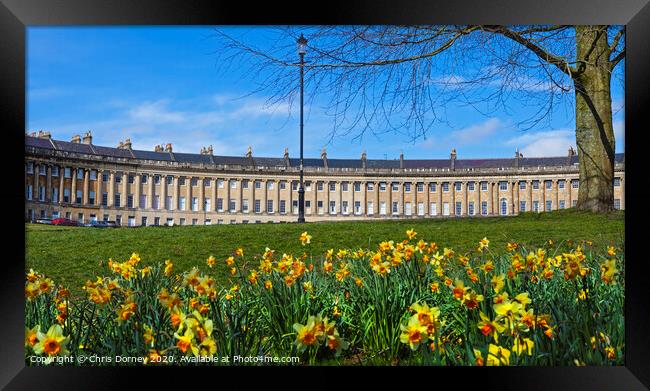 Royal Crescent at Spring Framed Print by Chris Dorney