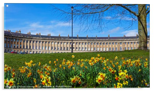 Royal Crescent at Spring Acrylic by Chris Dorney