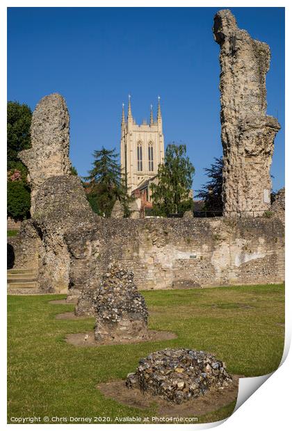 Bury St. Edmunds Abbey Remains and St Edmundsbury Cathedral Print by Chris Dorney