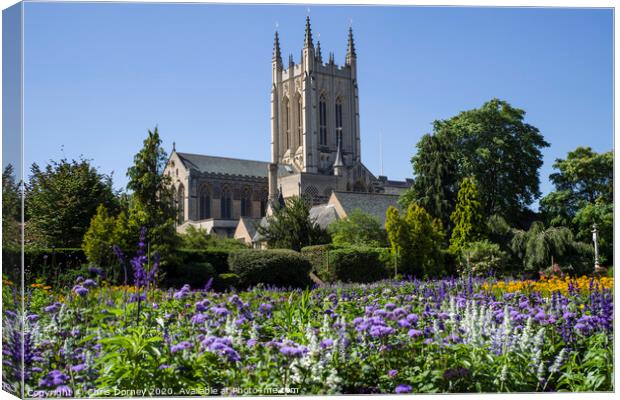 St. Edmundsbury Cathedral from Abbey Gardens in Bury St. Edmunds Canvas Print by Chris Dorney