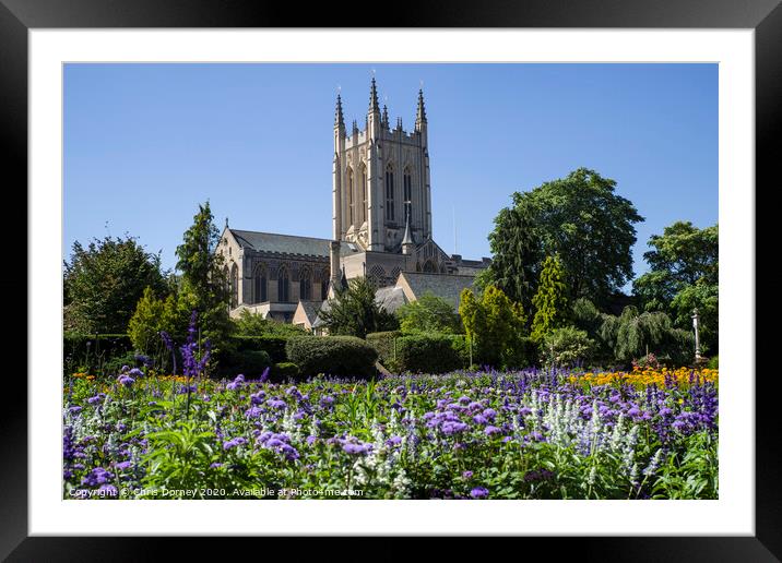 St. Edmundsbury Cathedral from Abbey Gardens in Bury St. Edmunds Framed Mounted Print by Chris Dorney