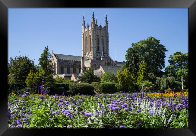 St. Edmundsbury Cathedral from Abbey Gardens in Bury St. Edmunds Framed Print by Chris Dorney