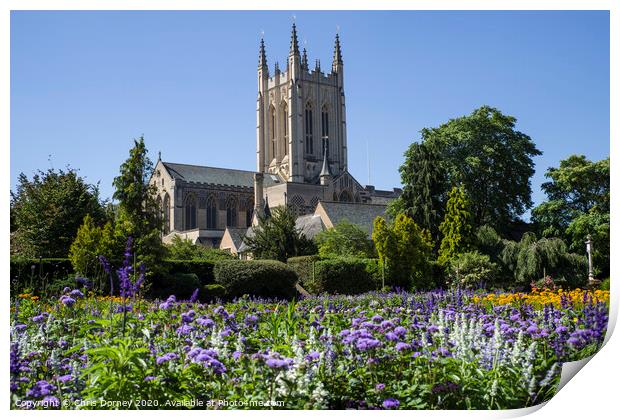 St. Edmundsbury Cathedral from Abbey Gardens in Bury St. Edmunds Print by Chris Dorney