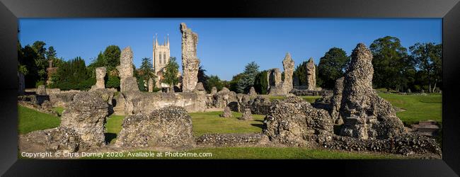 Bury St. Edmunds Abbey Remains and St Edmundsbury Cathedral Framed Print by Chris Dorney
