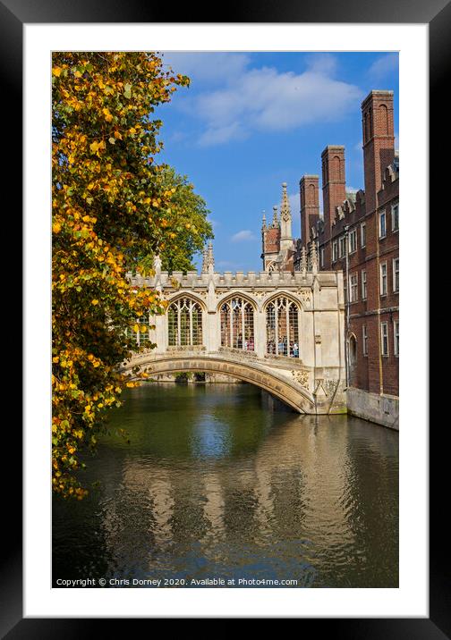 Bridge of Sighs in Cambridge Framed Mounted Print by Chris Dorney