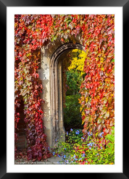 Beautiful Passageway in a Garden Framed Mounted Print by Chris Dorney