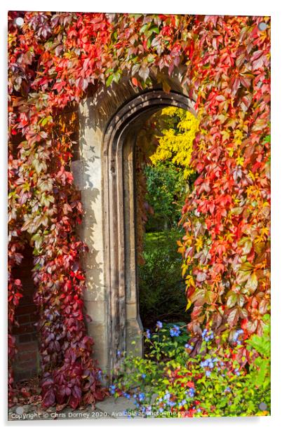 Beautiful Passageway in a Garden Acrylic by Chris Dorney