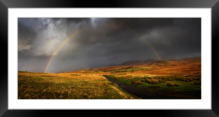 Harter Fell from Birker Fell Road, Cumbria UK  Framed Mounted Print by Maggie McCall
