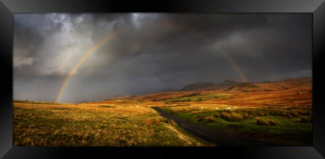 Harter Fell from Birker Fell Road, Cumbria UK  Framed Print by Maggie McCall