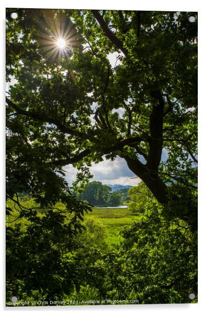 Countryside View in Ambleside Acrylic by Chris Dorney