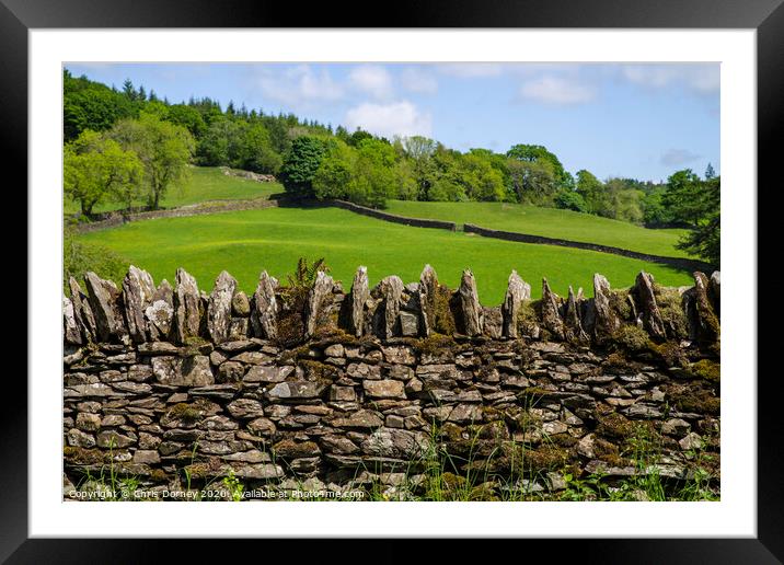 Countryside View in the UK Framed Mounted Print by Chris Dorney