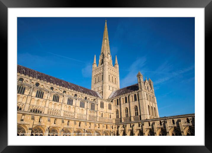Norwich Cathedral Framed Mounted Print by Chris Dorney