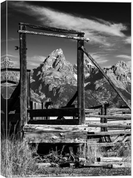 Corral and Tetons Canvas Print by Stephen Stookey