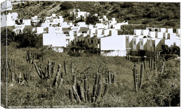 White Mexican Village Cardon Cactus Sonoran Desert  Baja Los Cabos Mexico Canvas Print by William Perry
