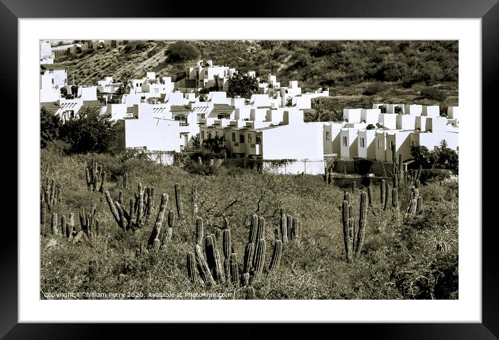 White Mexican Village Cardon Cactus Sonoran Desert  Baja Los Cabos Mexico Framed Mounted Print by William Perry