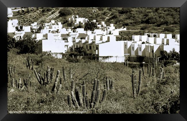 White Mexican Village Cardon Cactus Sonoran Desert  Baja Los Cabos Mexico Framed Print by William Perry