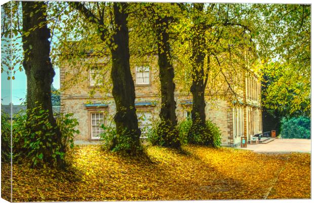 Cannon Hall In The Autumn  Canvas Print by Alison Chambers