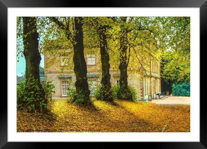 Cannon Hall In The Autumn  Framed Mounted Print by Alison Chambers