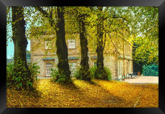 Cannon Hall In The Autumn  Framed Print by Alison Chambers