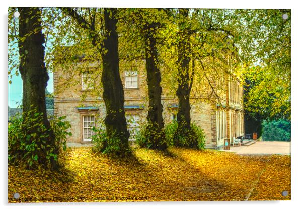 Cannon Hall In The Autumn  Acrylic by Alison Chambers