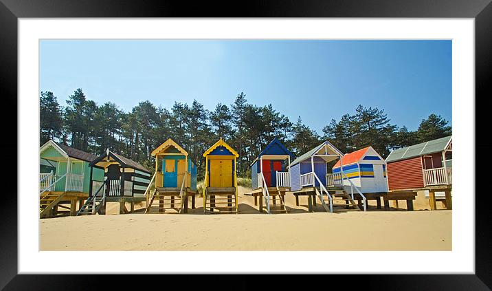 Beach Huts and Pine Trees Framed Mounted Print by Chris Thaxter