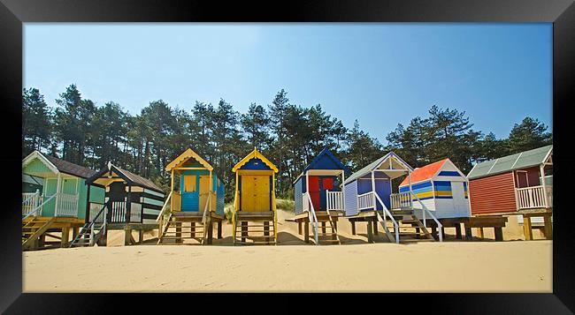 Beach Huts and Pine Trees Framed Print by Chris Thaxter
