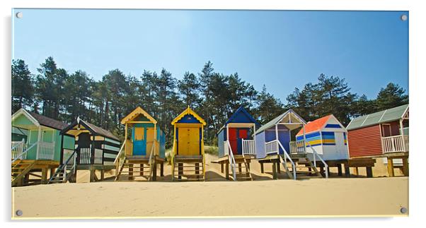 Beach Huts and Pine Trees Acrylic by Chris Thaxter