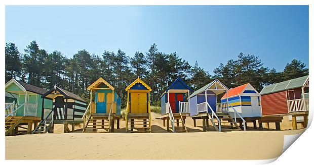 Beach Huts and Pine Trees Print by Chris Thaxter
