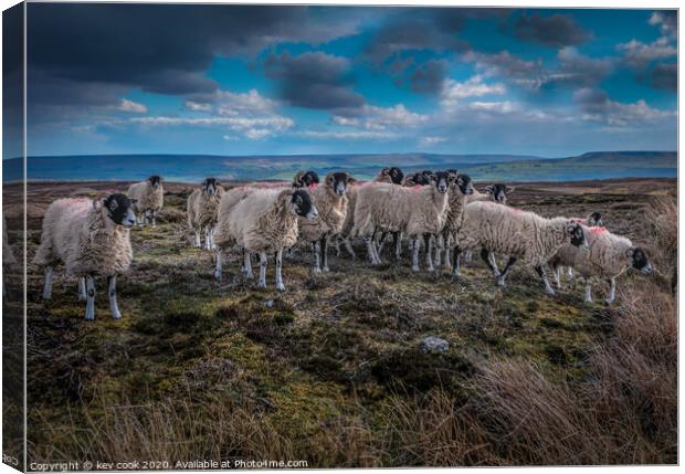 Grinton locals Canvas Print by kevin cook