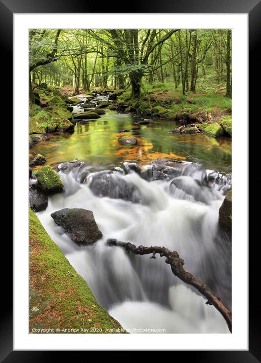 Falls View (Golitha Falls) Framed Mounted Print by Andrew Ray