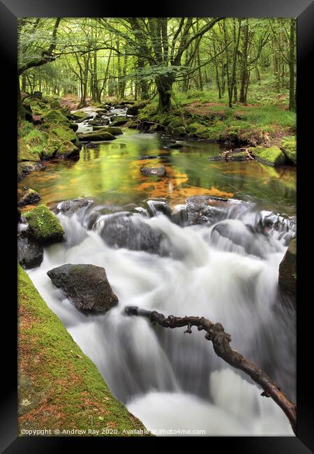 Falls View (Golitha Falls) Framed Print by Andrew Ray