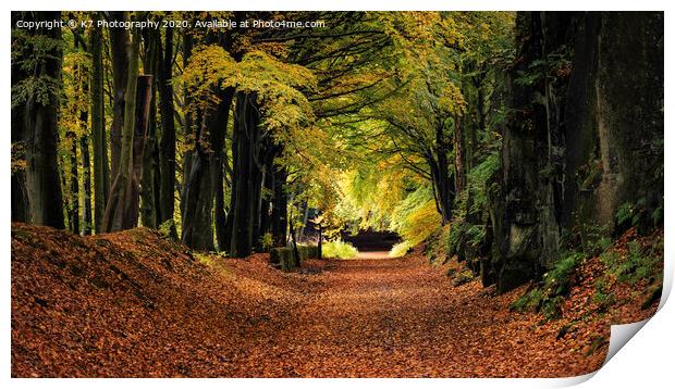 Vibrant Autumn Colours on High Peak Trail Print by K7 Photography