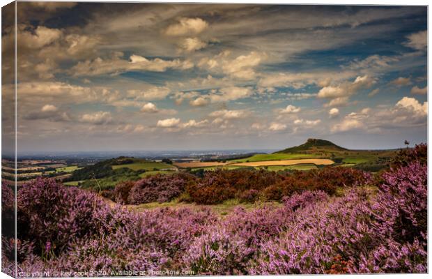 Roseberry heather Canvas Print by kevin cook