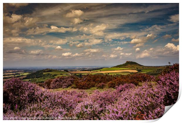 Roseberry heather Print by kevin cook