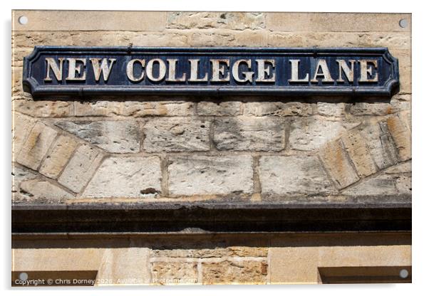 New College Lane in Oxford Acrylic by Chris Dorney