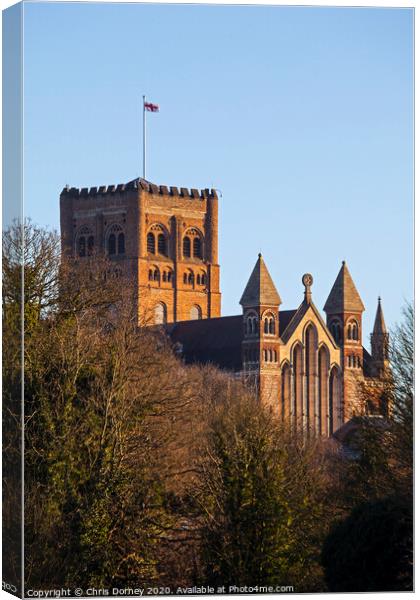 St Albans Cathdral Canvas Print by Chris Dorney