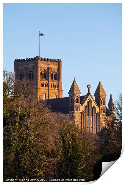 St Albans Cathdral Print by Chris Dorney