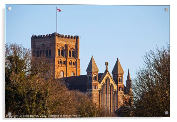 St. Albans Cathedral Acrylic by Chris Dorney