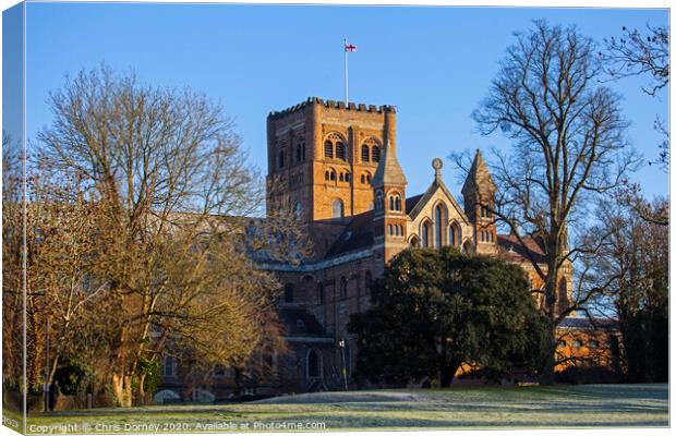 St. Albans Cathedral Canvas Print by Chris Dorney