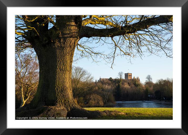 St. Albans Cathedral Viewed from Verulamium Park Framed Mounted Print by Chris Dorney