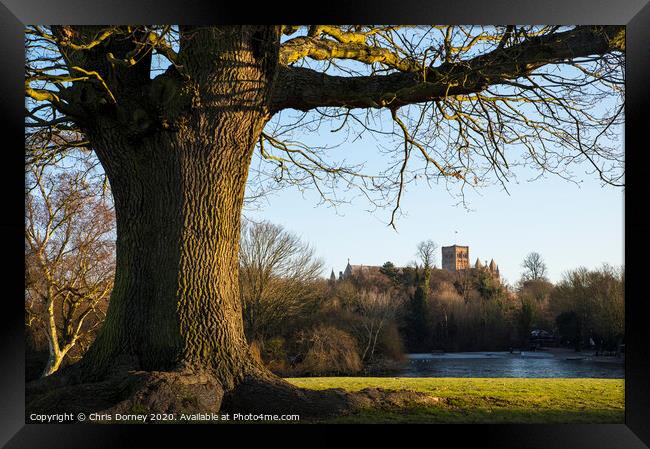 St. Albans Cathedral Viewed from Verulamium Park Framed Print by Chris Dorney