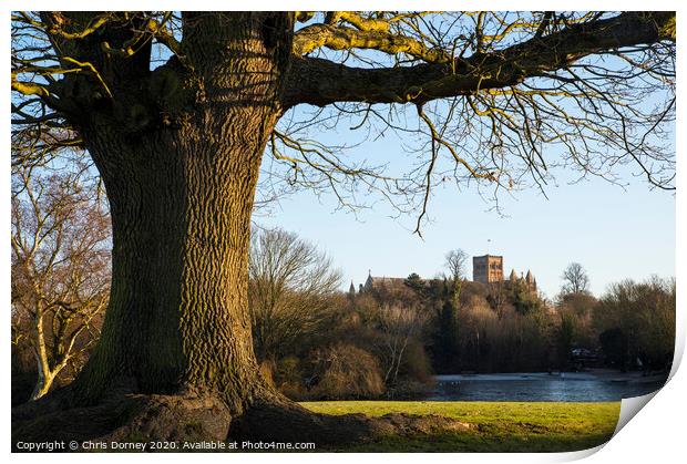 St. Albans Cathedral Viewed from Verulamium Park Print by Chris Dorney